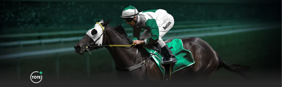 年亚冬会短,道速滑赛事,今启幕,Pg电子,PG,game,Pg电子官网,Pg电子试玩模拟器官网,Pg电子试玩模拟器下载,Pg电子APP