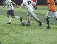 比利时荣耀,之路,六连胜势头,Pg电子,PG,game,Pg电子官网,Pg电子试玩模拟器官网,Pg电子试玩模拟器下载,Pg电子APP