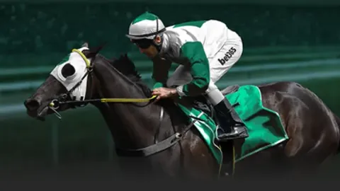 2025年亚冬会短道速滑赛事今启幕，中国队选手全员顺利晋级晋级名单2025-02-07