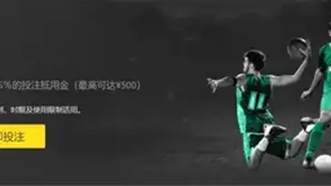 德州太阳城学校：“板式网球热”席卷校园，学生强身健体与竞技双赢